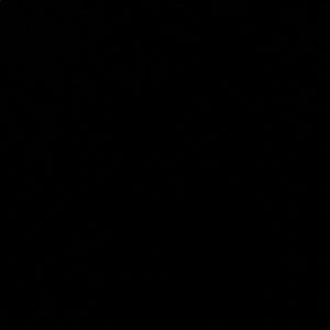 Meet your Posher, Avarie